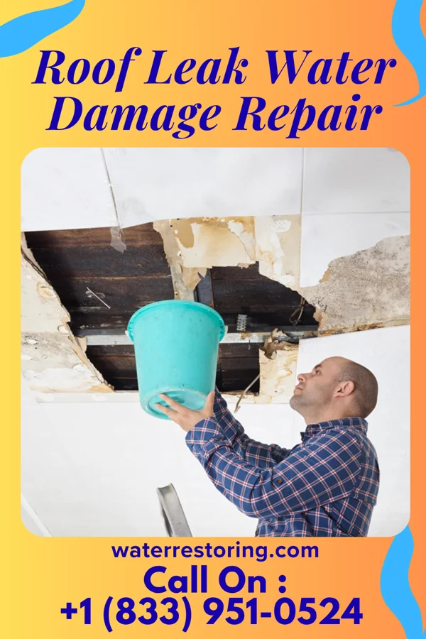 Roof Leak Water Damage Repair in Crossgate, KY
