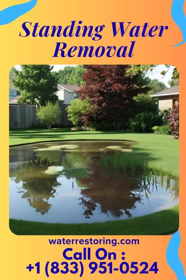 Standing Water Removal in Crossgate, KY